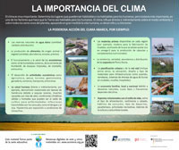 Importancia del Clima. ACOREMA