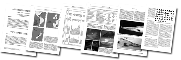 Scientific publications ACOREMA