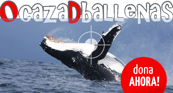 Cero Caza de Ballenas