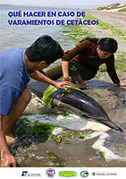 Varamiento de cetáceos, delfines, ballenas, bufeos