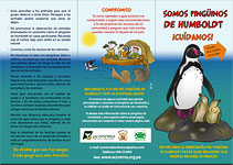 Pingüinos de Humboldt, cuidemos a los pinguinos