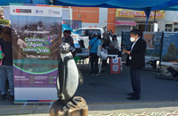 Feria Medio Ambiente